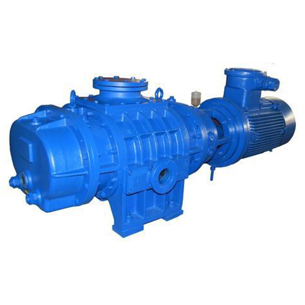 Roots vacuum pump