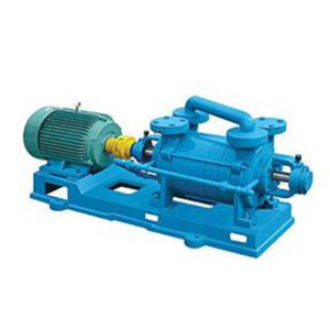 2SK Series Two-stage Water Ring Vacuum Pump